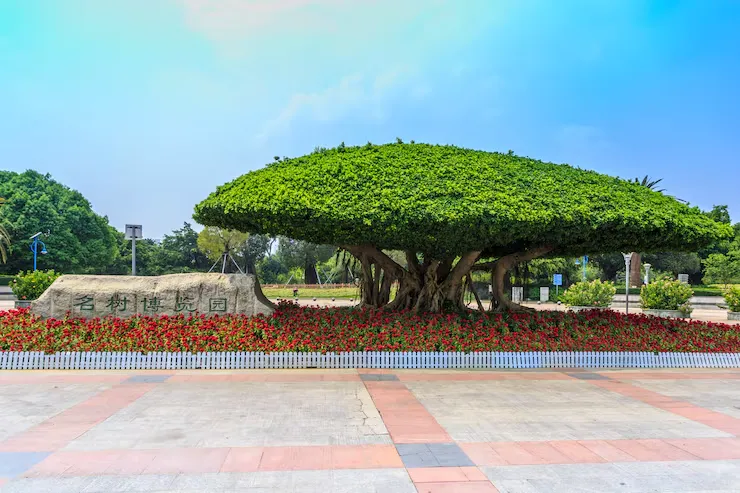 imageye___-_imgi_27_beautiful-park_1417-1572