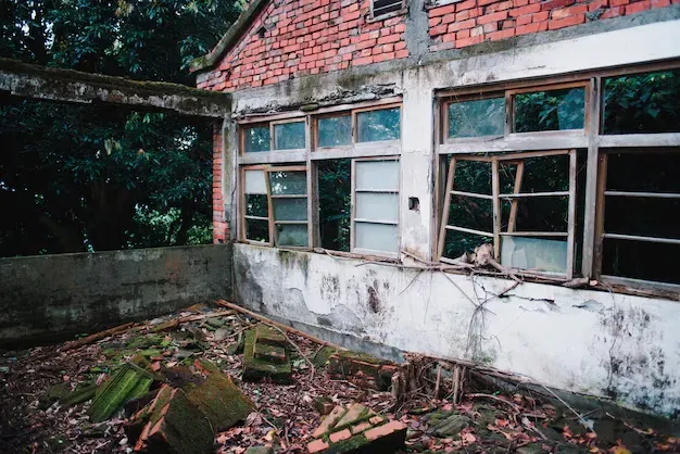 imageye___-_imgi_5_imgi_171_abandoned-old-building-with-destroyed-windows-forest_181624-6735